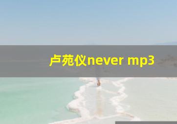 卢苑仪never mp3